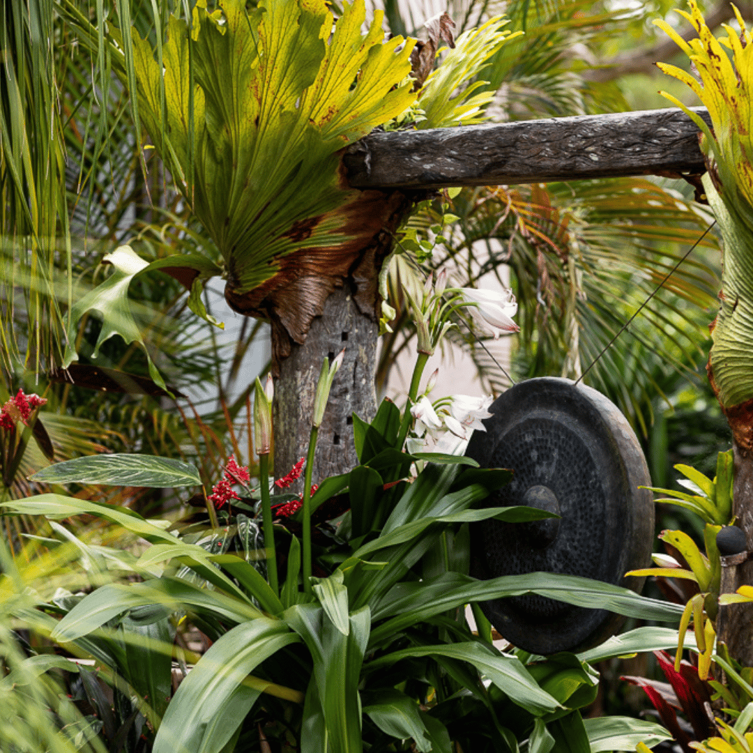 1-Jan-29-2024-05-55-38-1880-AM